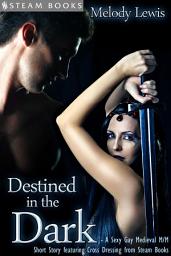 Icon image Destined in the Dark - Historical Cross-Dressing Medieval M/M Erotica from Steam Books