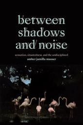 Icon image Between Shadows and Noise: Sensation, Situatedness, and the Undisciplined