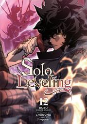 Icon image Solo Leveling