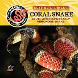 Icon image Coral Snake: South America's Deadly Venomous Snake