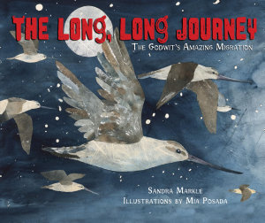 Icon image The Long, Long Journey: The Godwit's Amazing Migration