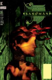 Icon image The Sandman (1988 - 1996)