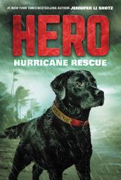 Icon image Hero: Hurricane Rescue