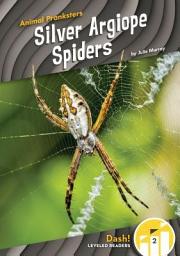 Icon image Silver Argiope Spiders