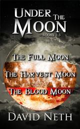Icon image Under the Moon Bundle (witch urban fantasy): Books 1-3