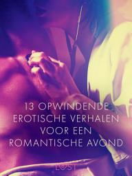 Icon image 13 opwindende erotische verhalen voor een romantische avond