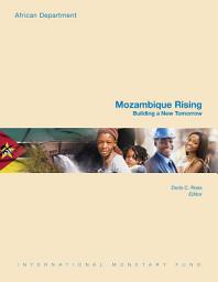 Icon image Mozambique Rising: Building a New Tomorrow