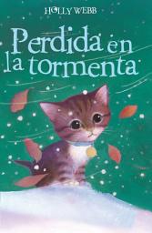 Icon image Perdida en la tormenta