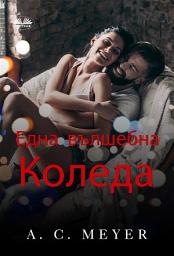 Icon image Една вълшебна коледа