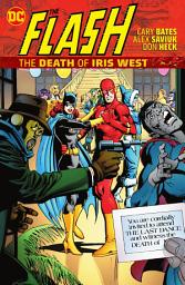 Icon image The Flash: The Death of Iris West: Issues 270-284
