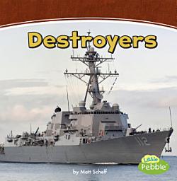 Icon image Destroyers: A 4D Book