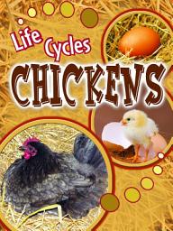 Icon image Chickens