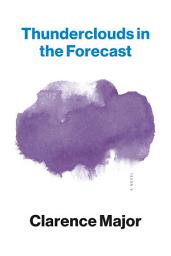 Icon image Thunderclouds in the Forecast: A Novel