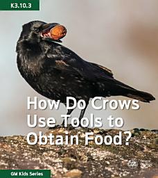 Icon image How Do Crows Use Tools to Obtain Food?