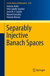 Icon image Separably Injective Banach Spaces