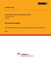 Icon image The Great Divergence: Why was Britain the first country in Europe and the world to industrialize?