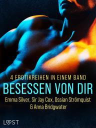 Icon image Besessen von dir: 4 Erotikreihen in einem Band