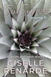 Icon image Sexy Surprises Volume 11: 24 BDSM and Fetish Stories