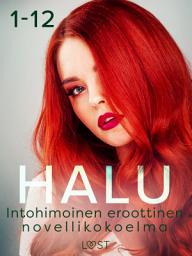 Icon image Halu 1-12: Intohimoinen eroottinen novellikokoelma