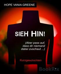 Icon image Sieh hin! (Aber pass auf, dass dir niemand dabei zuschaut ...)