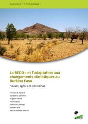 Icon image La REDD+ et lâadaptation aux changements climatiques au Burkina Faso: Causes, agents et institutions