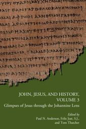 Icon image John, Jesus, and History, Volume 3: Glimpses of Jesus Through the Johannine Lens