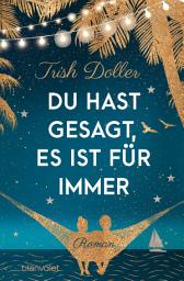Icon image Du hast gesagt, es ist für immer: Roman