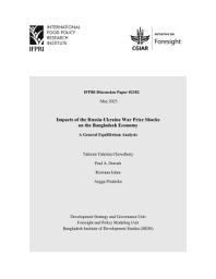 Icon image Impacts of the Russia-Ukraine War price shocks on the Bangladesh economy: A general equilibrium analysis