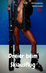 Icon image Dreier beim Skiausflug: Perverse Dreier Story