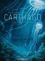 Icon image Carthago: Les Monolithes de Koubé