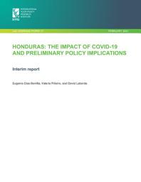 Icon image Honduras: The impact of COVID-19 and preliminary policy implications: Interim report