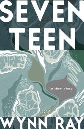 Icon image Seventeen: a short story