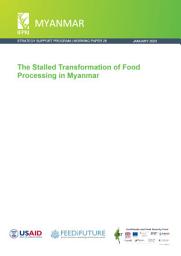 Icon image The stalled transformation of food processing in Myanmar