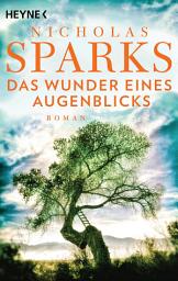 Icon image Das Wunder eines Augenblicks: Roman
