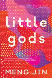 Icon image Little Gods: A Novel
