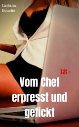 Icon image Vom Chef erpresst und gefickt: Hardcore Erotik, Ausgabe 2