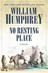 Icon image No Resting Place: A Novel