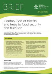 Icon image Contribution of forests and trees to food security and nutrition