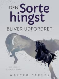 Icon image Den sorte hingst bliver udfordret: Bind 10
