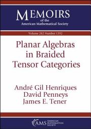 Icon image Planar Algebras in Braided Tensor Categories