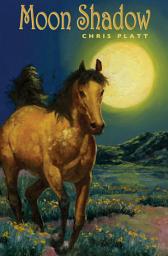 Icon image Moon Shadow