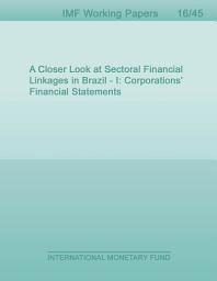 Icon image A Closer Look at Sectoral Financial Linkages in Brazil I: Corporations’ Financial Statements