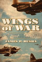 Icon image Wings of War: Great Combat Tales of Allied and Axis Pilots During World War II