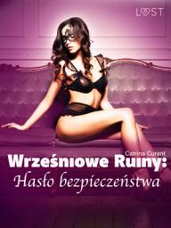 Icon image Wrześniowe ruiny: Hasło bezpieczeństwa – opowiadanie erotyczne BDSM