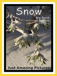 Icon image Just Snow! vol. 1: Big Book of Snowy Winter Weather Snowing Cold Snow Photographs & Pictures