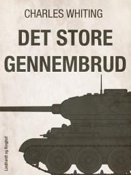Icon image Det store gennembrud