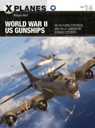 Icon image World War II US Gunships: YB-40 Flying Fortress and XB-41 Liberator Bomber Escorts