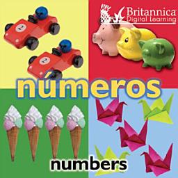 Icon image Números (Numbers)