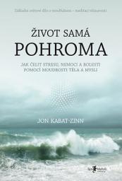 Icon image Život samá pohroma: Jak čelit stresu, nemoci a bolesti pomocí moudrosti těla a mysli