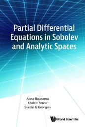 Icon image Partial Differential Equations in Sobolev and Analytic Spaces